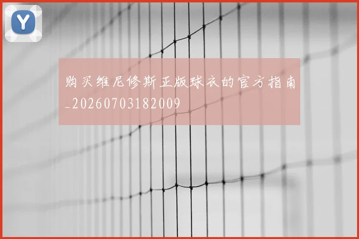 购买维尼修斯正版球衣的官方指南_20260703182009