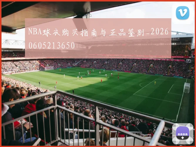 NBA球衣购买指南与正品鉴别_20260605213650